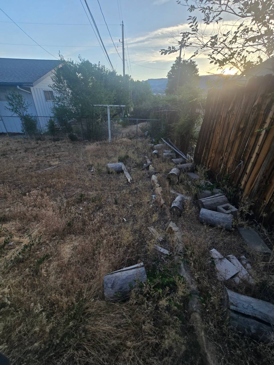Fallen yard tree debris