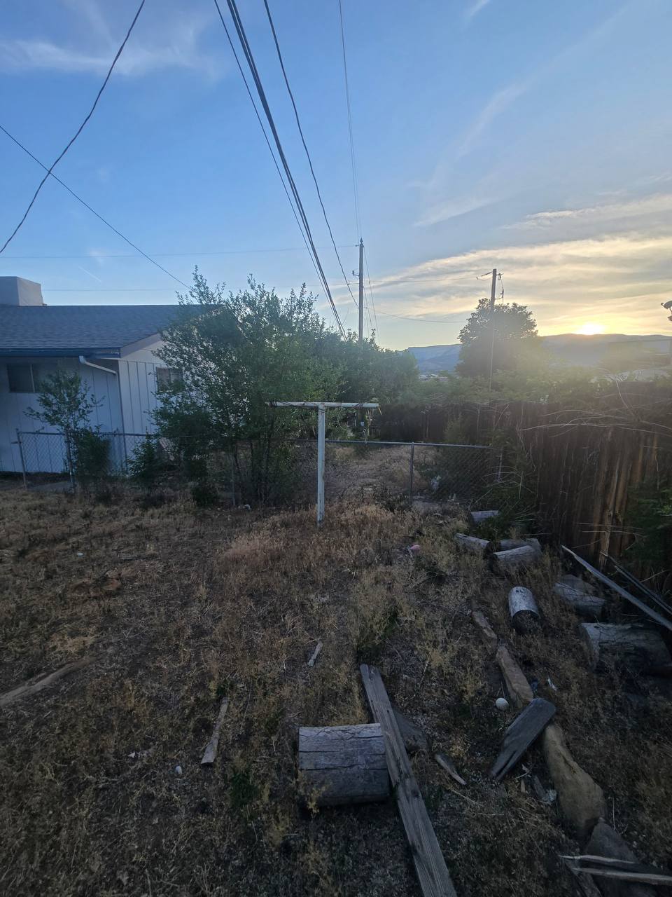 Tree debris and access obstruction