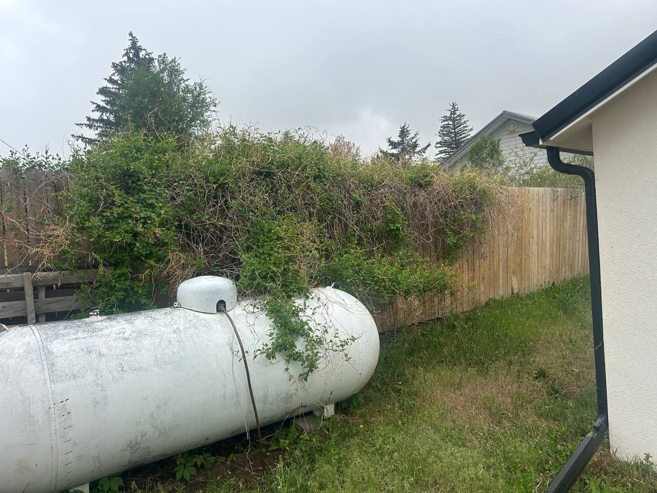 Above ground propane tank